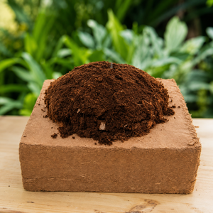 Bloc de tourbe de coco 5 kg, expansion 21 gallons, faible EC 0,5 MS/cm, 6 mm, triple lavage, palettisé, 20 palettes, prix FOB/CIF - Product Image 5