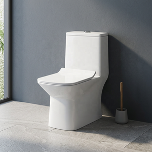 Inodoro de Cerámica de Una Pieza con Doble Descarga, Diseño Moderno para Baño y Uso Exterior, Precio Económico para el Mercado Saudí - Product Image 3