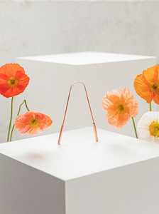 Support à fleurs minimaliste en métal, support d'affichage en fil de cuivre pour fleurs séchées, support décoratif pour plantes, accent moderne pour la maison - Product Image 1