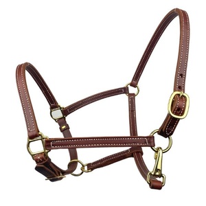 Échantillon Gratuit Nouvelle Arrivée Licol de Selle en Cuir Personnalisé pour Cheval Équestre, Collier de Tête de Cheval de Sécurité Personnalisé Style Western - Product Image 1