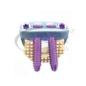 SI-OIS-0001 Veterinary Medical Surgery Implant Stainless Steel Manual TLIF Cage System CE Certified Class I by <b>Blush</b> Surgical - Product Image 3