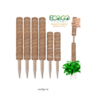 Poste de Musgo de Coco Moderno |   Estacas de Soporte Ecológicas de Fibra de Coco para Plantas en Maceta de Interior - Product Image 4