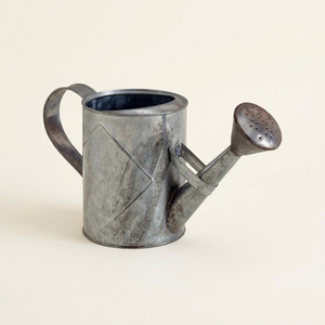 Wholesale Durable Galvanized Metal Watering Can With Long Spout Rust-Resistant 5L/8L Iron <b>Garden</b> Water Pot For Indoor & Outdoor - Product Image 1