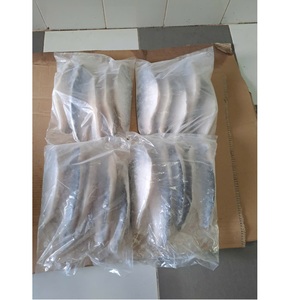 Filets de poisson Pangasius surgelés du Vietnam, qualité A/B, emballage en vrac IQF, 10-12 cm, avec peau, durée de conservation de 24 mois, produits de la mer - Product Image 2