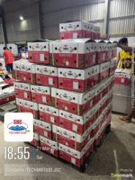 Vietnam Premium Dragon Fruit – Tropisch vers fruit, perfect voor Indiase importeurs