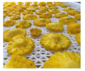 Premium Dehydrated Pineapple Fruit Snack Vietnam - Tropical Snack For Retail <b>Packaging</b> - Product Image 5