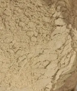 Polvo de Amla 100% Auténtico de Calidad Premium, Natural y Puro, Grado Alimenticio, a Granel, Exportación de la India a Precio Mayorista - Product Image 2