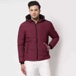 Wholesale Plus Size Men's Winter Waterproof Hooded <b>Puffer</b> <b>Jacket</b> with Zipper Polyester Filling Custom Logo & OEM Service - Product Image 1