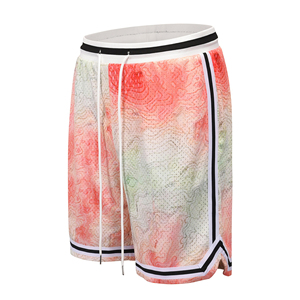 Shorts de basket-ball en maille pour hommes, double couche, 5 pouces d'entrejambe, impression par sublimation sur polyester de haute qualité, logo personnalisé du fabricant, style hip-hop - Product Image 2
