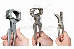 Kit Profesional de Herramientas para Herrador de Caballos de 10 Piezas, Acero Inoxidable J2, Alicates para Pezuñas, Cincher, Raspador, Cuchillo para Pezuñas, Extremo de Latón - Product Image 3