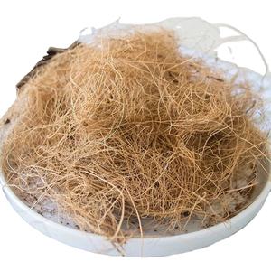 PRODUITS LES MEILLEURES VENTES SUR LE MARCHÉ 2024 MATIÈRES PREMIÈRES NATURELLES DE HAUTE QUALITÉ FIBRE DE NOIX DE COCO À PRIX CONCURRENTIEL - Product Image 1