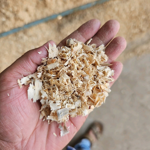 Sciure de pin naturelle et copeaux de bois de pin doux pour la litière des chevaux et des poulets, achetez en ligne à bas prix, disponible en gros - Product Image 4