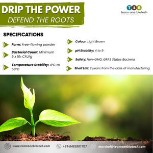 Solution organique pour l'amélioration de la croissance racinaire appliquée au sol - Product Image 3