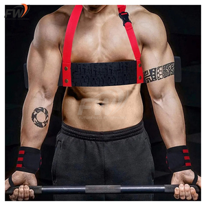 Armbandera de Alta Resistencia para Bíceps, de Grado Premium, para Levantamiento de Pesas, Culturismo y Fitness - Product Image 3