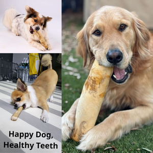 Bâton à mâcher pour chien en bois de café naturel de qualité supérieure, durable, écologique, jouet à mâcher pour nettoyer les dents, adapté aux chiens de taille moyenne et grande - Product Image 2
