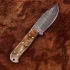 Cuchillo de Caza Personalizable DIY OEM de Acero de Damasco con Mango de Cuerno de Carnero - Cuchillo Premium para Supervivencia y Camping al Aire Libre, 7 Pulgadas de Longitud Total - Product Image 4