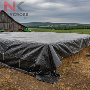 Protège-documents imperméable en plastique durable pour l'organisation des dossiers – Exportations en Inde - Product Image 2