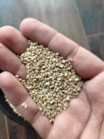 프리미엄 천연 99% 순수 인도산 새 작물 참깨 25/50kg PP 포장 (에코 엑스포트 인디아)