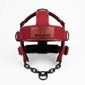Wolson Industry Professional Neoprene Unisex Head Harness Non-Slip Adjustable Straps Soft Padding <b>Neck</b> Support Buckle Hook Loop - Product Image 1