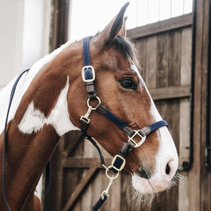 Harnais de polo professionnel, design robuste pour l'entraînement, la manutention, le contrôle de l'écurie et les performances équestres. Harnais de polo sportifs. - Product Image 5