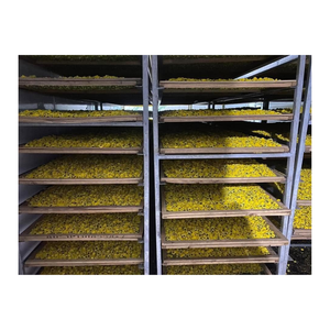 Fleurs de chrysanthème dorées de qualité supérieure, thé aux herbes premium, fabricant OEM ODM au Vietnam - Product Image 3
