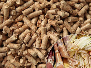 CANNE À SUCRE PRESSÉE BAGASSE BLOC Origine FERMENTÉE Vietnam Granulés de canne à sucre blancs séchés Prêt à être expédiés pour l'alimentation animale - Product Image 4