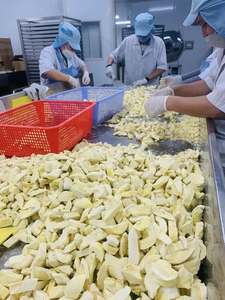 Durian Liofilizado Producido con Carne de Durian Entera, Componente Alimenticio Crujiente, Mejor Precio de Vietnam para Mayoristas, Listo para Cocinar - Product Image 5