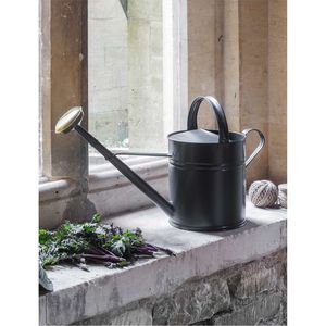 Wholesale Vintage <b>Metal</b> Watering Can Long Spout Indoor Outdoor Garden Plant Flower Watering Pot Heavy Duty Iron Garden Supplies - Product Image 1