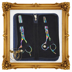 ชุดกรรไกรตัดและซอยผมระดับมืออาชีพเรนโบว์ไทเทเนียม - Product Image 6