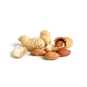 Snack Saludable: Cacahuetes Pelados de Primera Calidad a Granel de Fabricante INDIO - Product Image 2