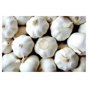 Fournisseur d'ail frais en vrac pour l'exportation, bulbes d'ail blancs de haute qualité pour l'industrie alimentaire mondiale et les marchés de légumes - Product Image 1