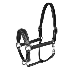 Classique Western Saddle Horse Halter Confortable en cuir véritable rembourré avec accessoires en laiton Disponible en noir et rose foncé - Product Image 2