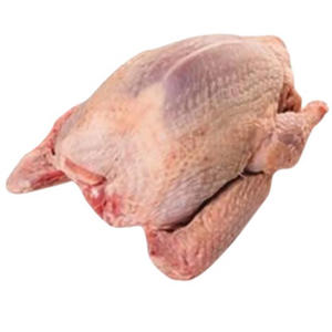 Fournisseur en gros de pigeons congelés de haute qualité, viande de pigeon pour l'exportation et les marchés de gros - Product Image 5