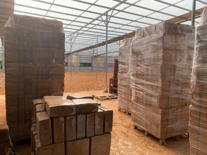 Blocs de fibre de coco du Vietnam à faible teneur en EC pour plantes, écologiques, pots en coco, culture hydroponique, bloc de 5 kg, cocopeat sec - Product Image 5