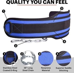 Neoprene <b>Weight</b> Lifting <b>Belt</b> with Stainless Steel D-Ring and 36 Long Chain Adjustable Waist Support for Strength <b>Training</b> - Product Image 1