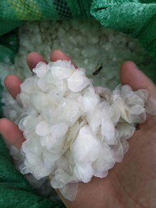 Écailles de poisson séchées de haute qualité, source de protéines naturelles pures, pour la distribution mondiale, prix direct usine, commandes en gros, professionnel - Product Image 3