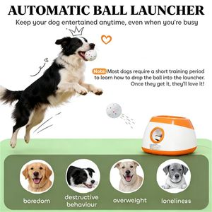 Lanciatore Automatico di Palline per Cani Arancione, Giocattolo Interattivo per Animali Domestici - Product Image 2
