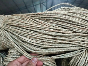 Wholesale <b>Cheap</b> Price Twisted Seagrass Cord Raw Material Seagrass Rope Natural Raw Seagrass Rope from Vietnam - CARYLN - Product Image 3