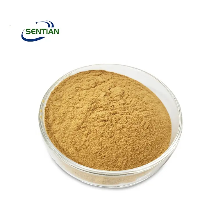 High quality root powder ginsenosides ginseng root extract 10:1 ginsenoside 80% extract