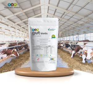 Aditivo Nutricional Probiótico para Acondicionamiento Inmunológico de Animales Juveniles - Product Image 2