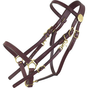Bridon en cuir de qualité supérieure, classique, avec rembourrage doux, OEM/ODM acceptés, pour le sport - Product Image 2