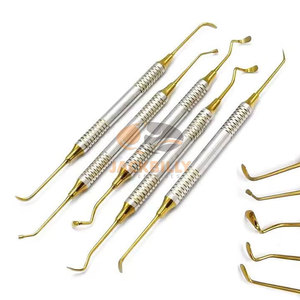 Kit de Elevación de Senos de Alta Calidad, 5 Piezas, con Casete de Acero Inoxidable, Juego de Instrumentos Dentales Chapados en Oro para Cirugía Oral Profesional - Product Image 1
