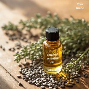 ODM OEM of Pure Caraway <b>Essential</b> <b>Oil</b> Natural Caraway <b>Essential</b> <b>Oil</b> Steam Distilled Caraway <b>Oil</b> Caraway Seed <b>Essential</b> <b>Oil</b> - Product Image 3