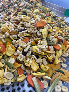 Mélange de fruits et légumes séchés sous vide : mangue, jackfruit, banane, noix de coco, courge, taro – Emballage en vrac – Fabricant vietnamien - Product Image 3