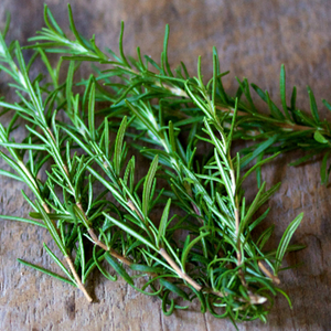 Hojas de romero secas pulidas de Vietnam para una decoración elegante y para añadir notas amaderadas a platos festivos de 99 Gold Data - Product Image 4