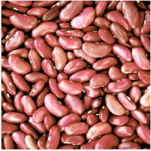 Shubhalaxmi Rajma Chitra, Frijoles Rojos Moteados Secos Naturales, Ricos en Proteínas y Fibra, Paquete a Granel, 2 Años de Duración, para Cocinar a Diario - Product Image 1
