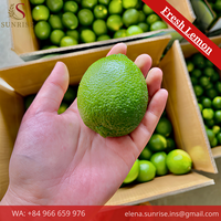 Verse Groene Limoen Hele of Gehalveerde Premium Kwaliteit Natuurlijke Gewone Teelt FRESH LEMON Merk 16-20cm 10kg (Mw. Elena - (+84) 966 659)