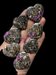 Cabujón de Ágata Turritella Natural de la Mejor Calidad, Pulido a Mano, Tamaño Personalizable, Entrega Rápida, para Joyería - Product Image 2