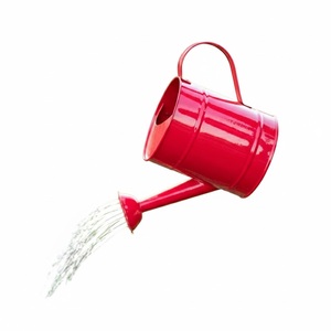 Regadera de Metal con Acabado Rojo y Asa para Plantas de Interior y Exterior, Estilo Vintage - Product Image 1