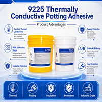 Composé de scellement en silicone bicomposant thermoconducteur A/B 1:1 par poids, étanche et isolant pour la construction, APSI 9225AB
